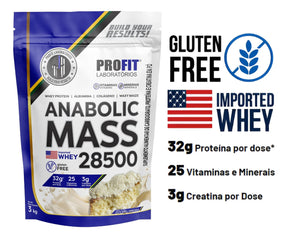 Hipercalórico Anabolic Mass 28500 3kg - Profit Labs Sabor Leite ninõ